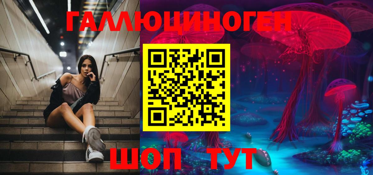 Галлюциногенные грибы Psilocybine cubensis  Вход с VPN  Елизово 