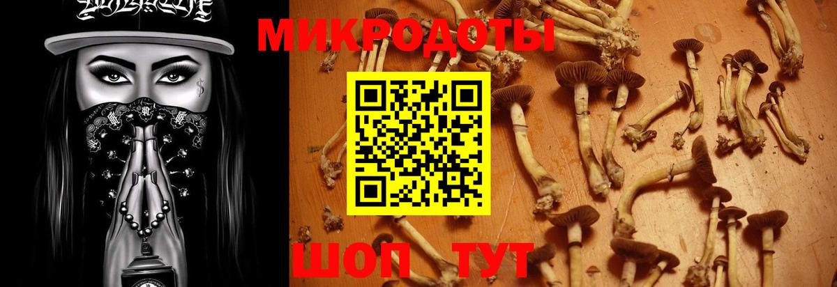 Псилоцибиновые грибы MAGIC MUSHROOMS Елизово